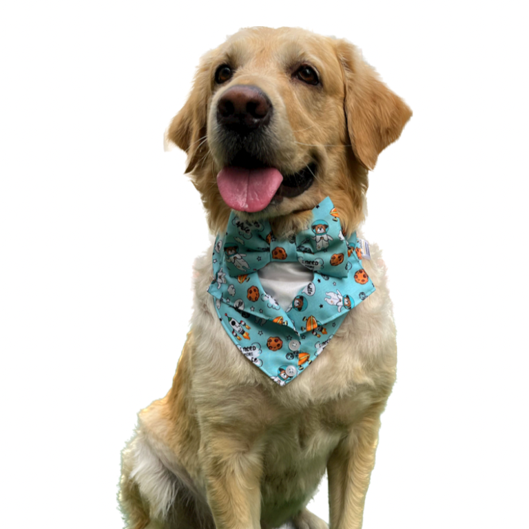 15D33F70-CB55-49DD-B6FF-3E02251C12A1