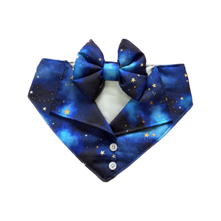 2368881D-B0FD-4DF2-A29F-55960AA6D7B9