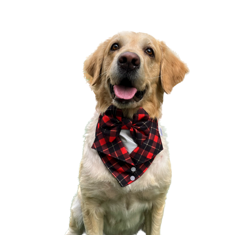 26B697DE-7CF5-4AA7-A792-A35CD8CA8BA5