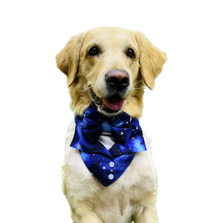 9D63378D-6B85-4153-8599-29A5CD3D132C