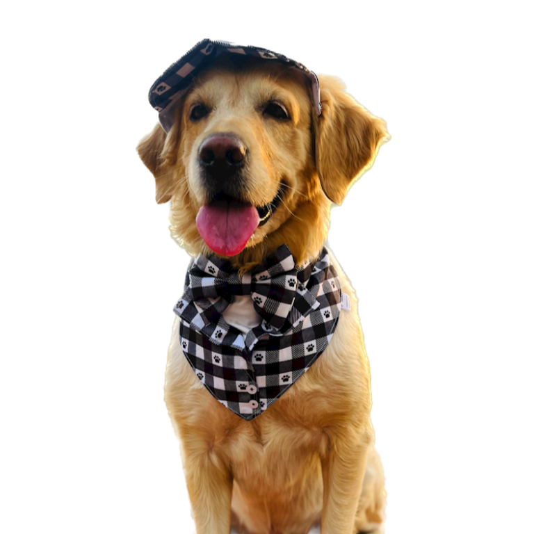 DC4AB6AD-5B4C-45EB-A083-79C2E9440B90